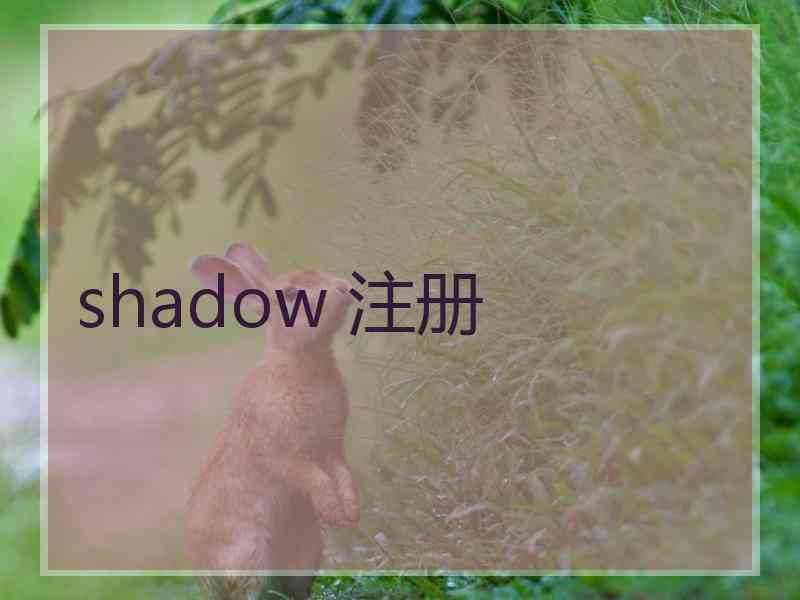 shadow 注册