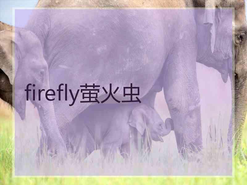 firefly萤火虫