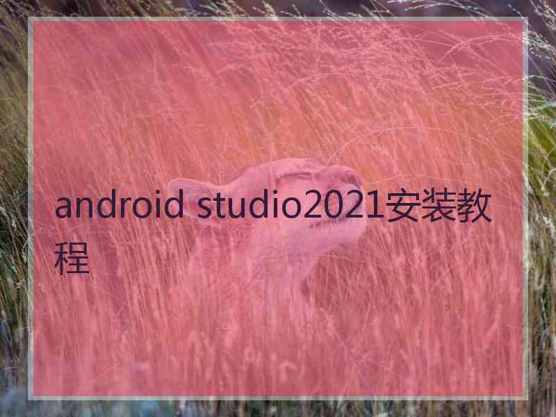android studio2021安装教程