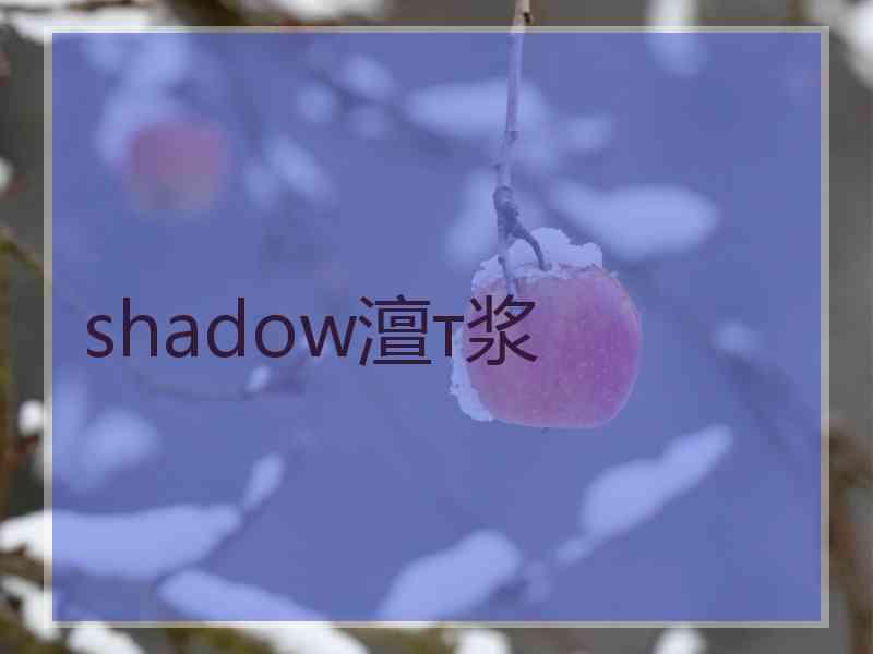 shadow澶т浆