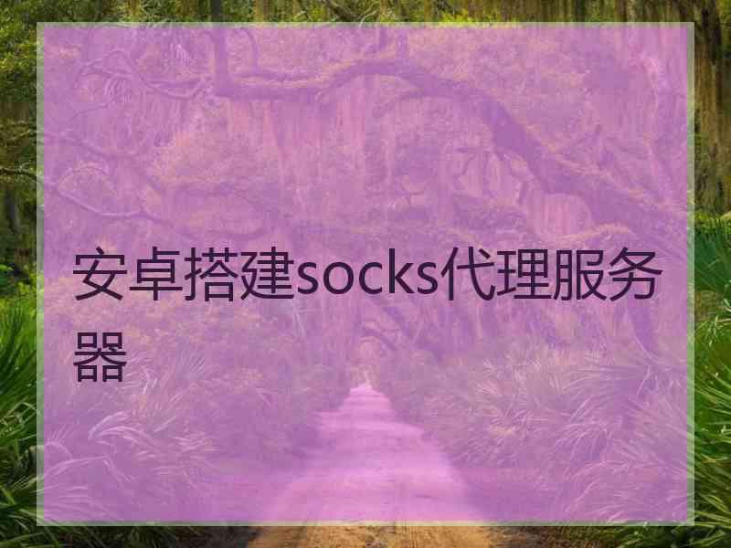 安卓搭建socks代理服务器