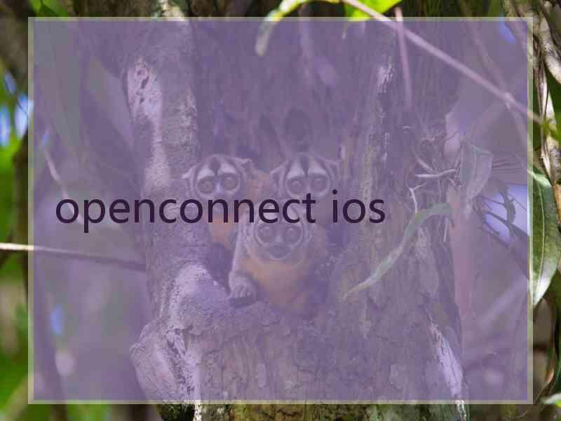 openconnect ios