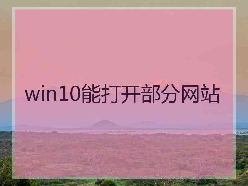 win10能打开部分网站