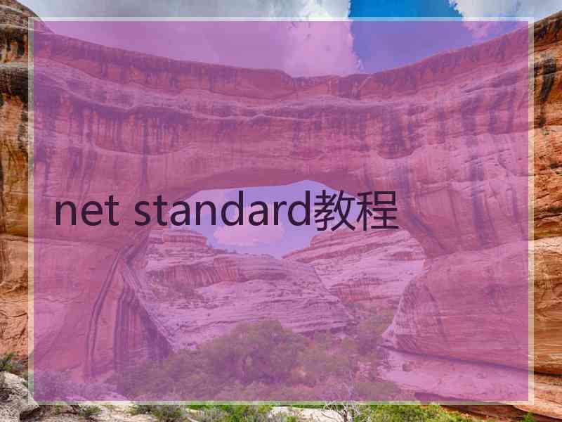 net standard教程