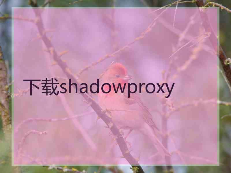 下载shadowproxy