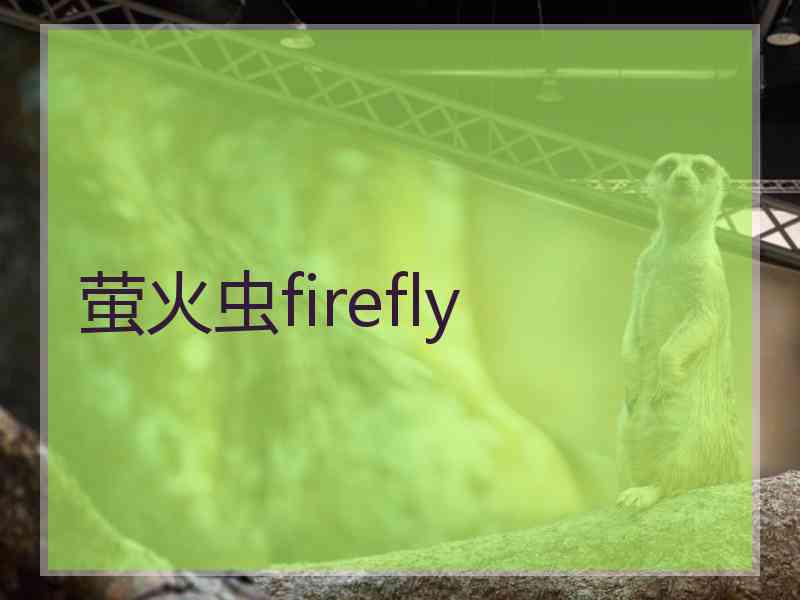 萤火虫firefly