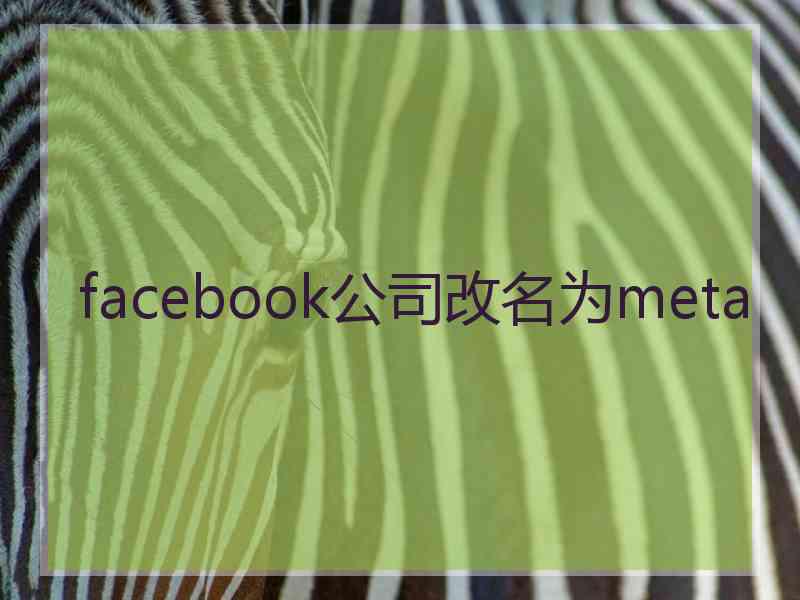facebook公司改名为meta