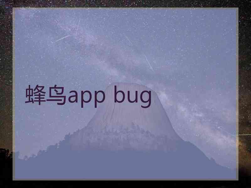蜂鸟app bug
