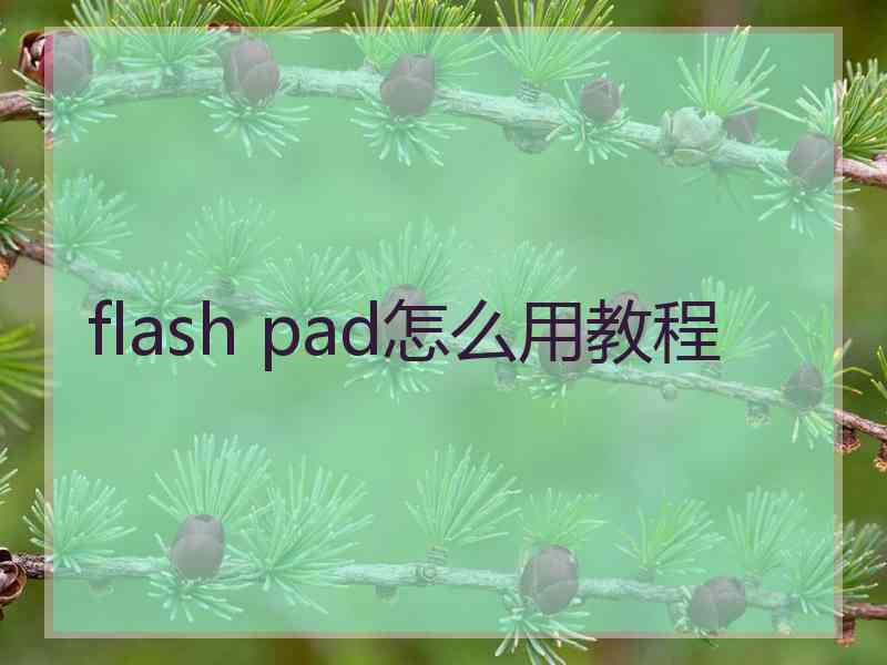 flash pad怎么用教程