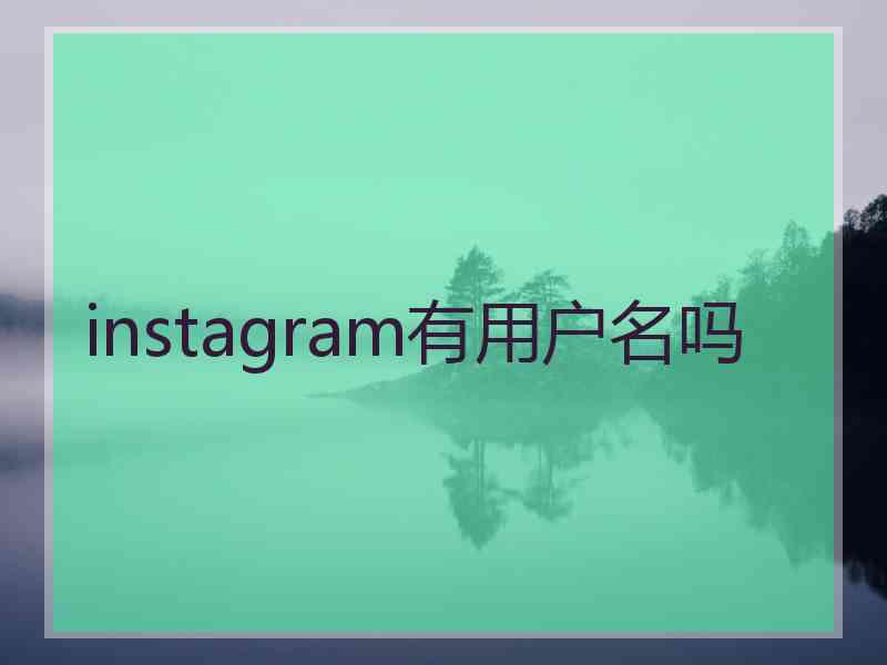 instagram有用户名吗