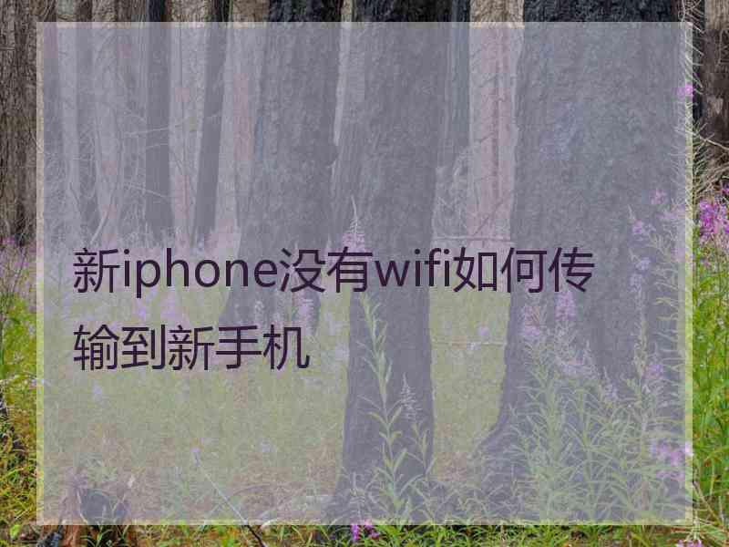 新iphone没有wifi如何传输到新手机