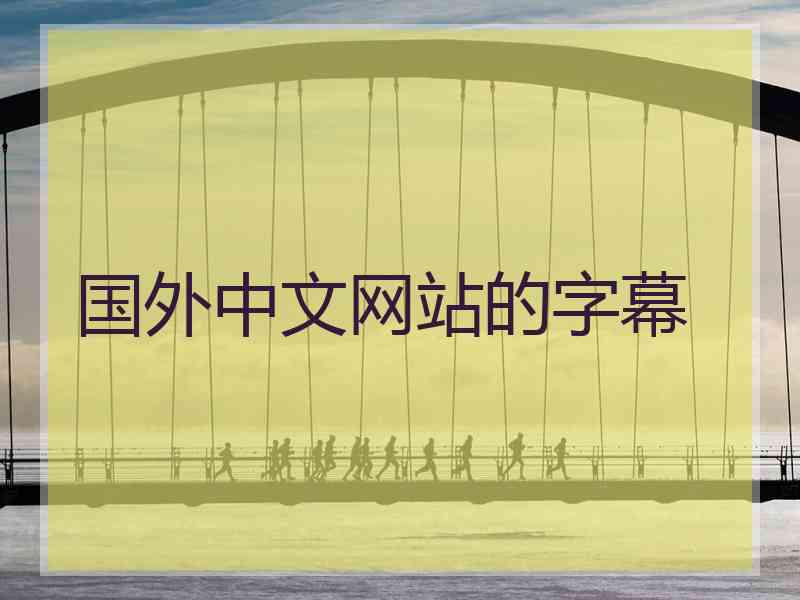 国外中文网站的字幕