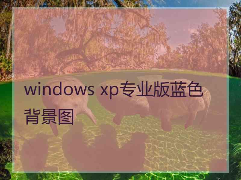 windows xp专业版蓝色背景图