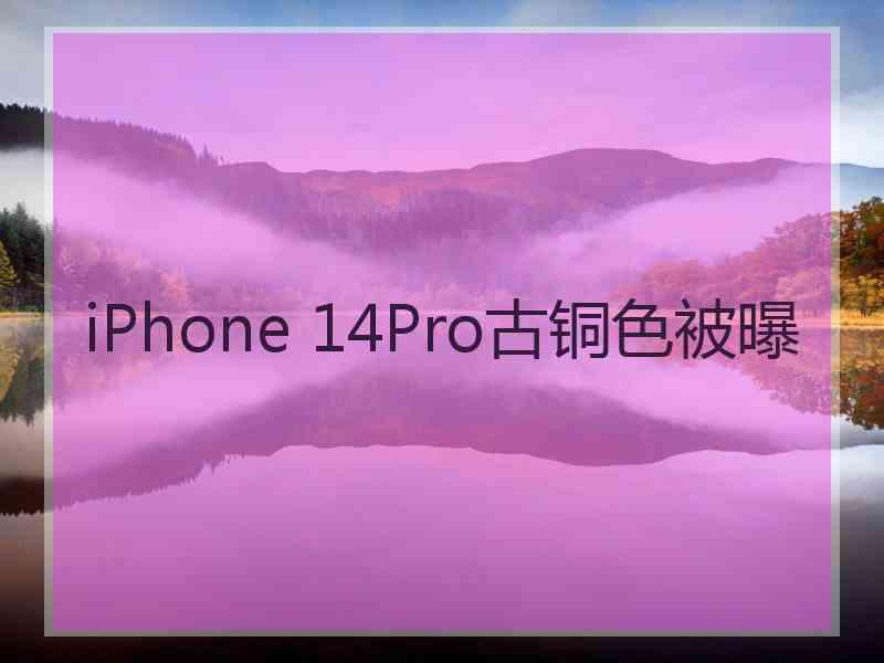 iPhone 14Pro古铜色被曝