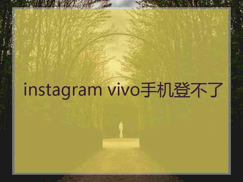 instagram vivo手机登不了