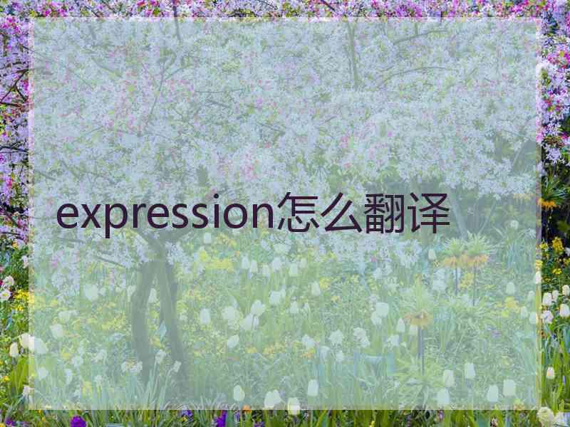 expression怎么翻译