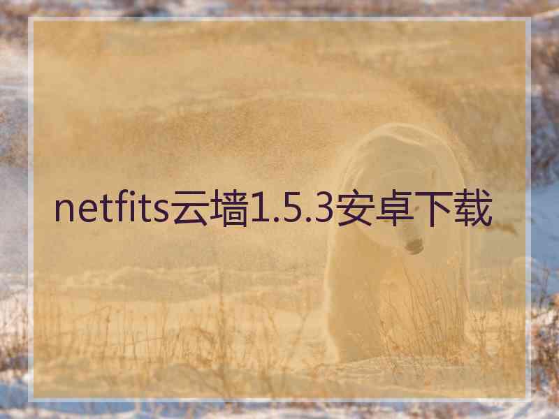 netfits云墙1.5.3安卓下载
