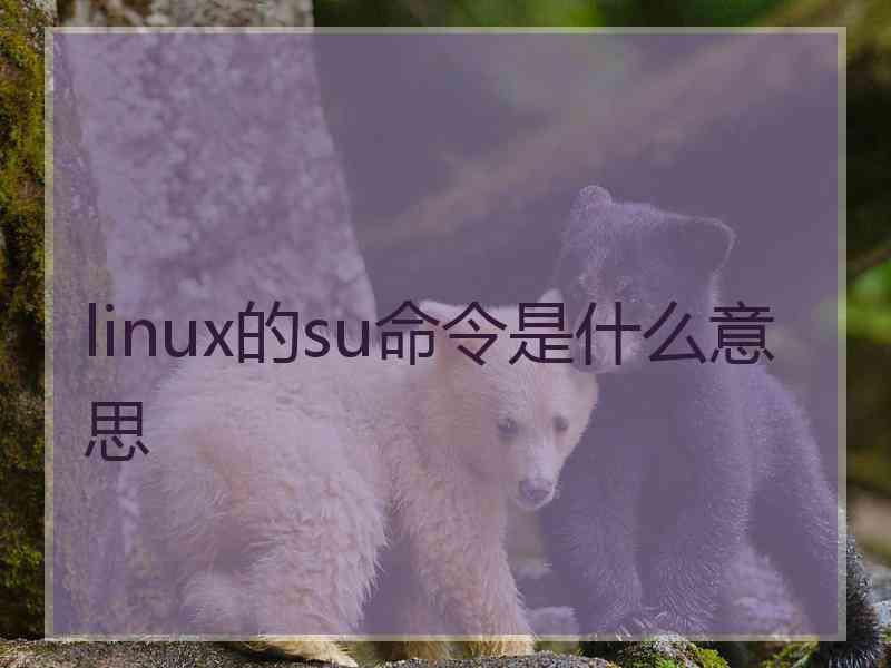 linux的su命令是什么意思