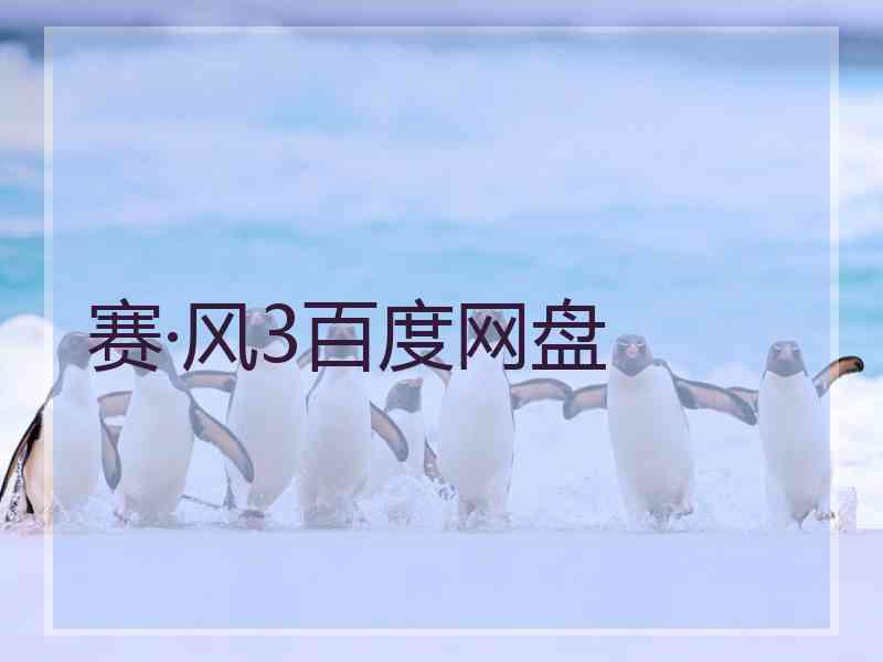 赛·风3百度网盘
