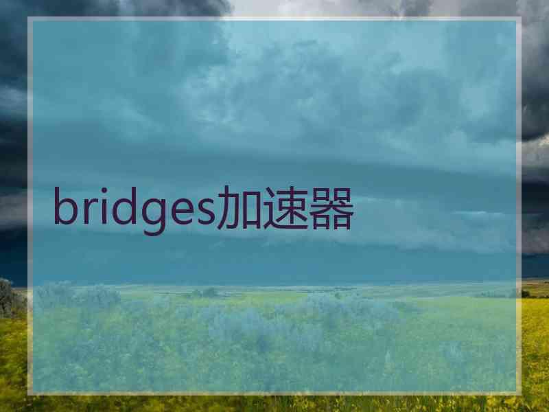 bridges加速器