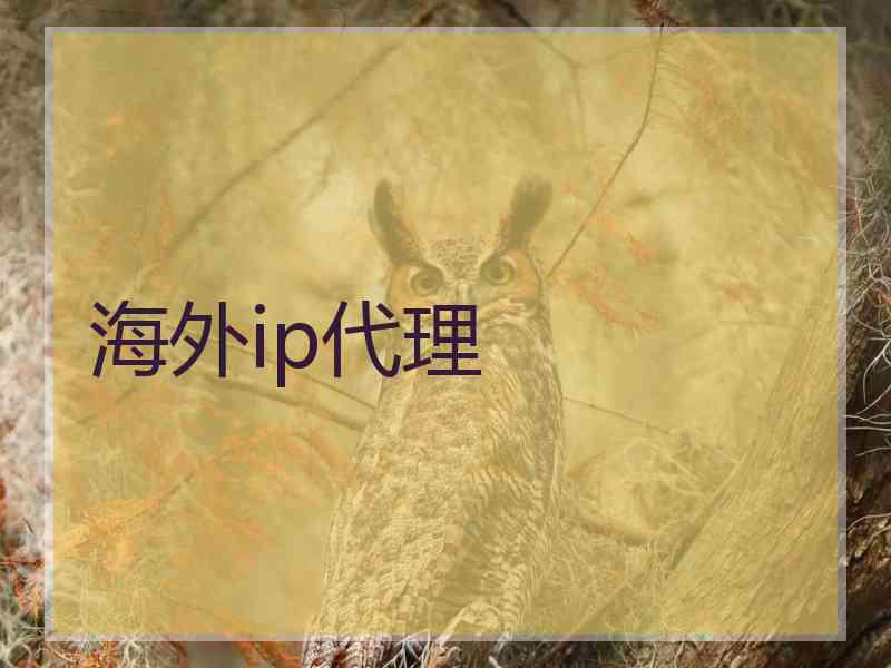 海外ip代理