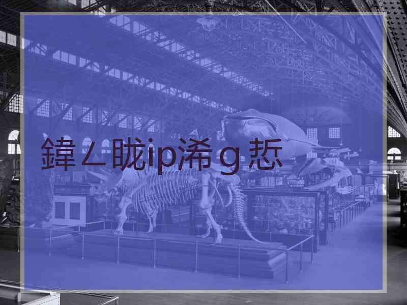 鍏ㄥ眬ip浠ｇ悊