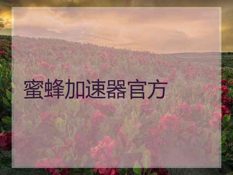 蜜蜂加速器官方