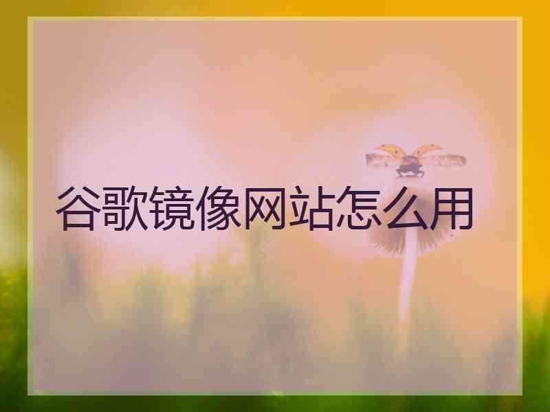 谷歌镜像网站怎么用