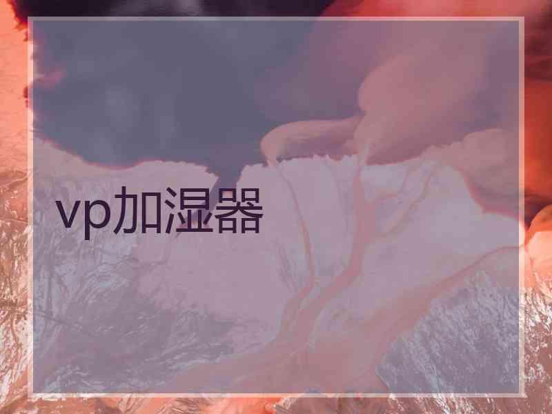 vp加湿器