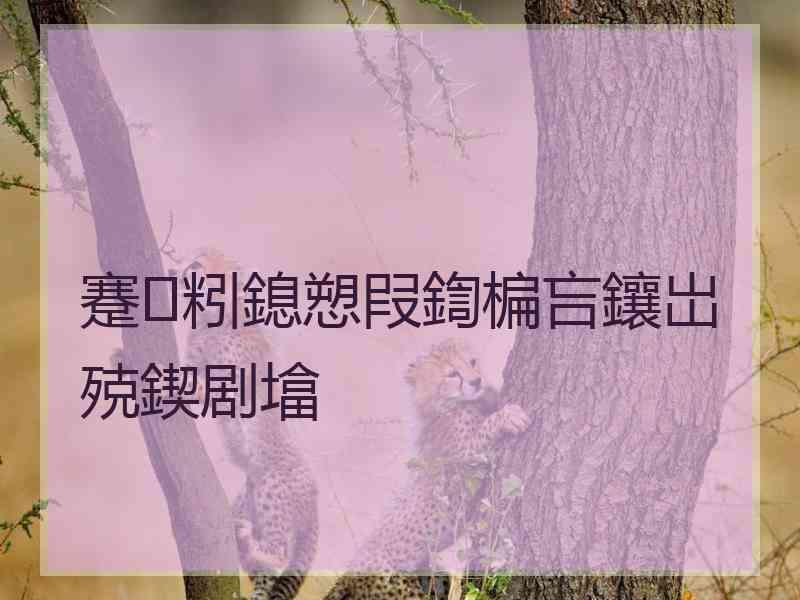 蹇粌鎴愬叚鍧楄吂鑲岀殑鍥剧墖