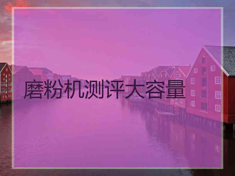 磨粉机测评大容量