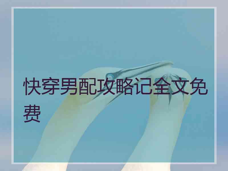 快穿男配攻略记全文免费