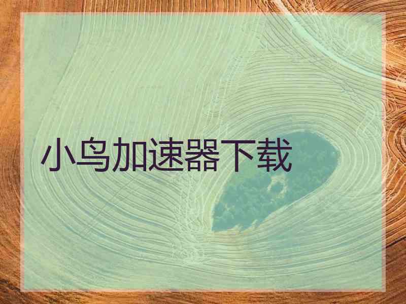 小鸟加速器下载