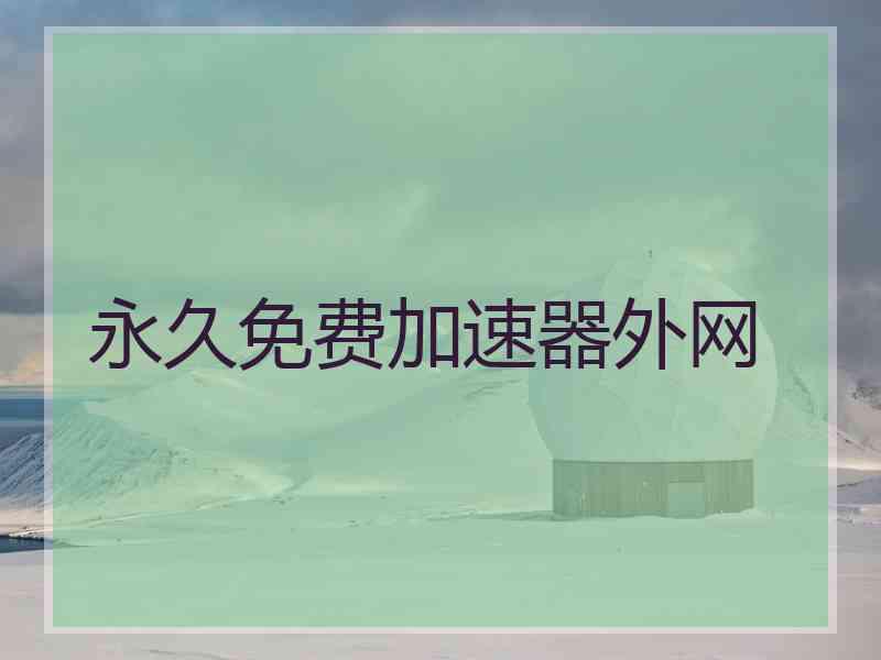 永久免费加速器外网