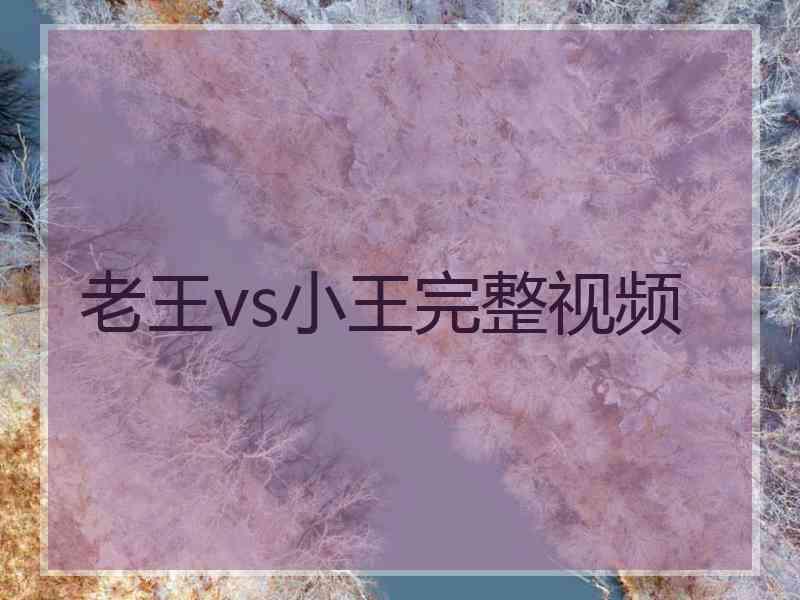 老王vs小王完整视频