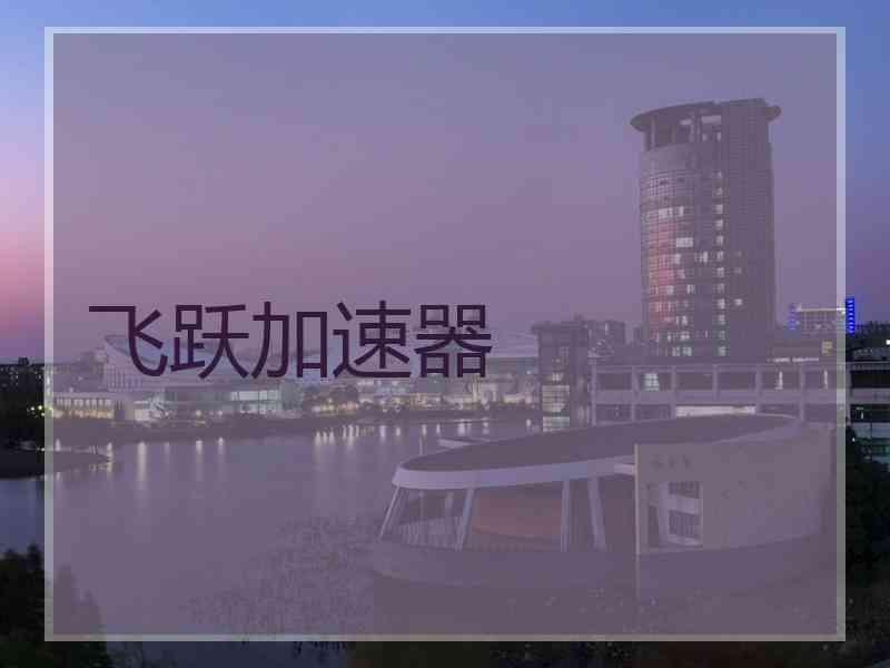飞跃加速器