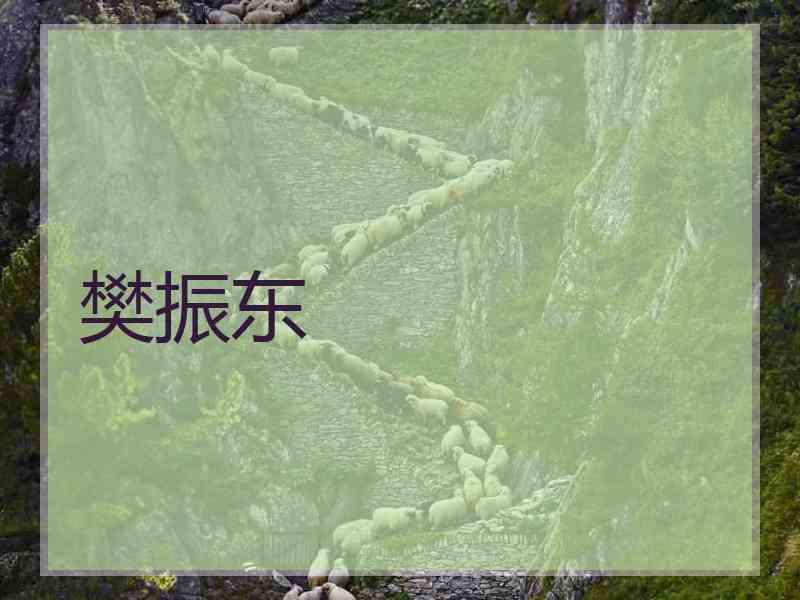 樊振东