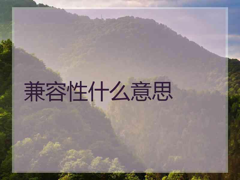 兼容性什么意思