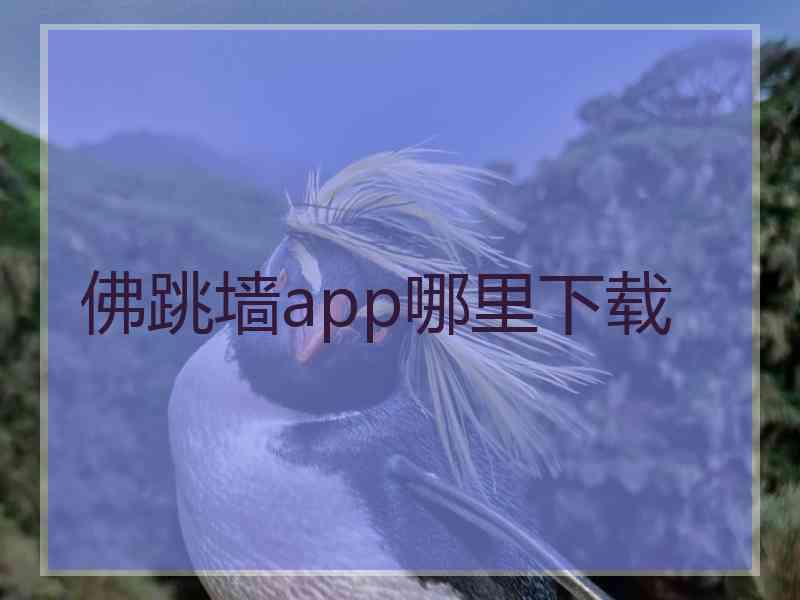 佛跳墙app哪里下载