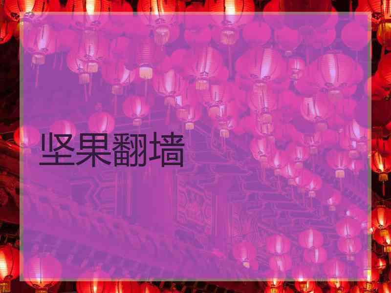 坚果翻墙