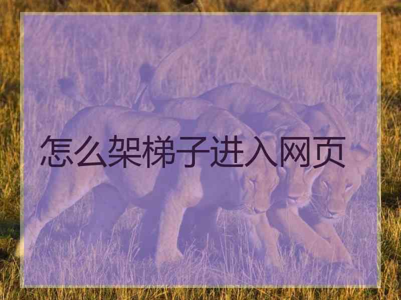 怎么架梯子进入网页