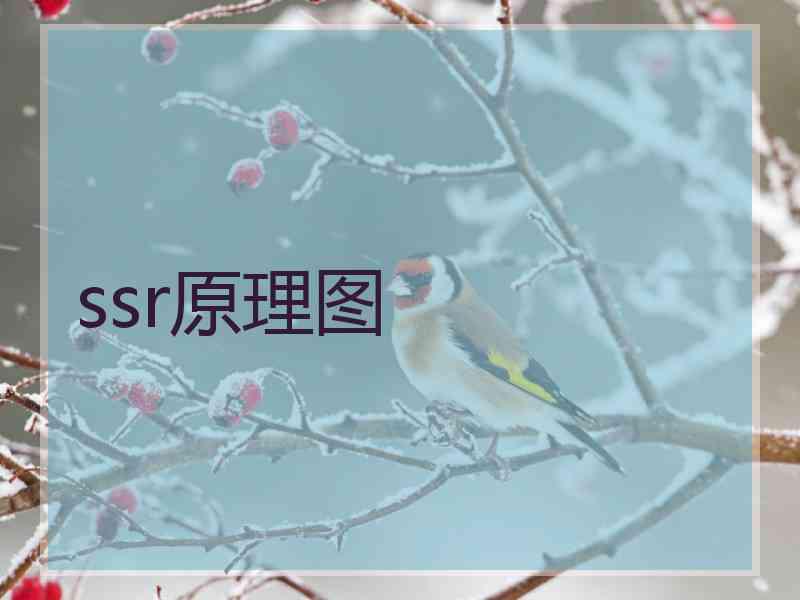 ssr原理图