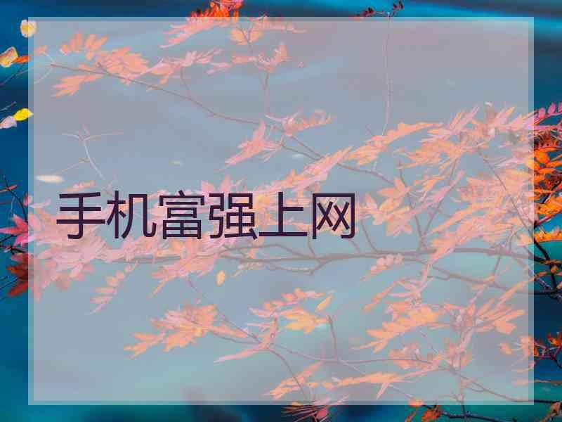 手机富强上网