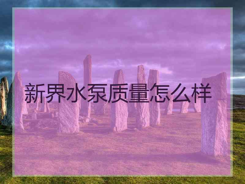 新界水泵质量怎么样