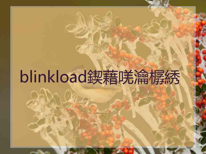 blinkload鍥藉唴瀹樼綉