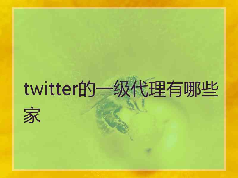 twitter的一级代理有哪些家