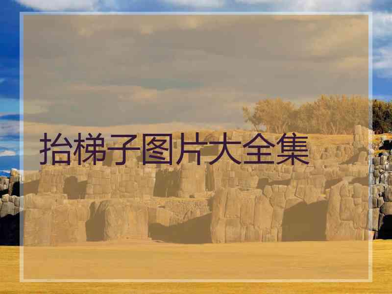 抬梯子图片大全集