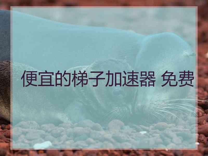 便宜的梯子加速器 免费
