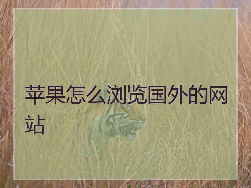苹果怎么浏览国外的网站