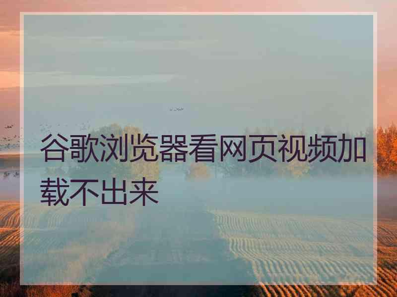 谷歌浏览器看网页视频加载不出来